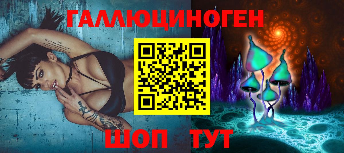 Псилоцибиновые грибы Psilocybine cubensis Каменск-Шахтинский
