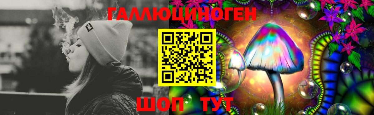 Каменск-Шахтинский  Галлюциногенные грибы MAGIC MUSHROOMS  Вход с VPN 